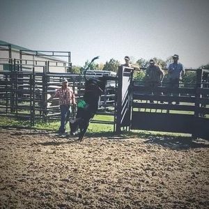 Meet your Posher, Walter